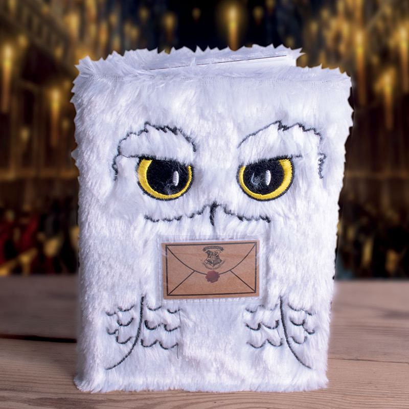 Carnet Harry Potter à l'effigie de la chouette Hedwige sur Rapid Cadeau