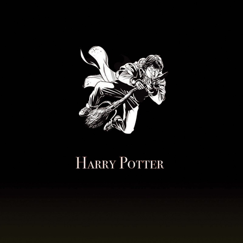 7x5FT Nuages ​​Ciel Harry Potter Clôture Poudlard Photo personnalisée Fond  Toile de Fond Bannière Vinyle 220cm x 150cm