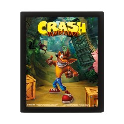 Cadre Crash Bandicoot Effet Animé 3D