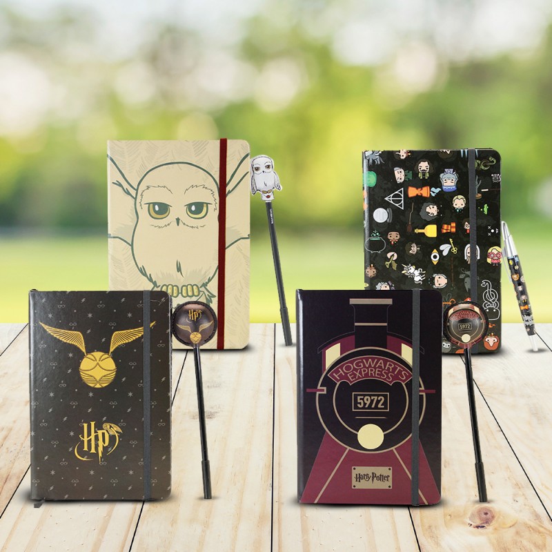 Journal Intime Electronique Harry Potter Avec Effets Lumineux Et Accessoires  - N/A - Kiabi - 24.00€